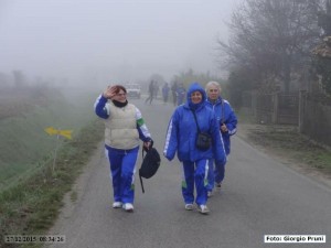 DSC04334